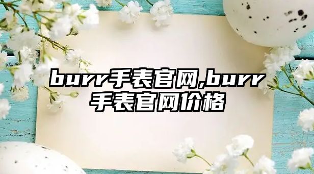 burr手表官網,burr手表官網價格