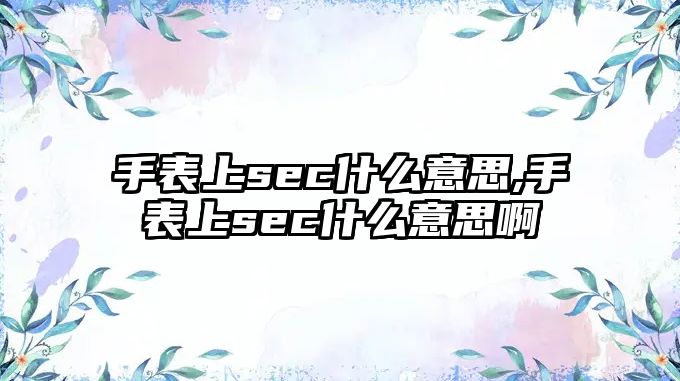 手表上sec什么意思,手表上sec什么意思啊