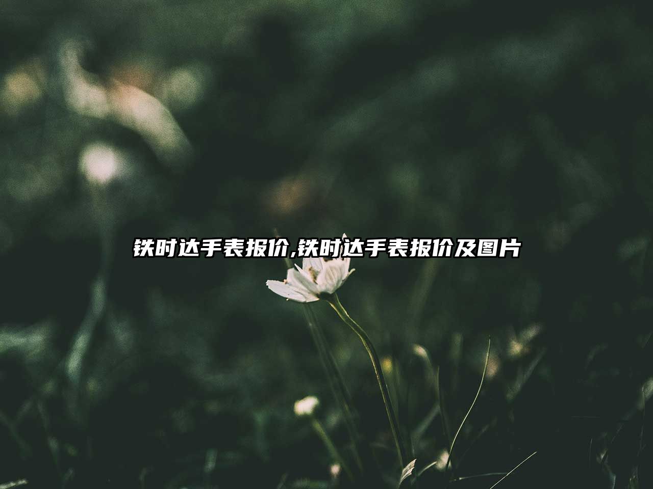 鐵時(shí)達(dá)手表報(bào)價(jià),鐵時(shí)達(dá)手表報(bào)價(jià)及圖片