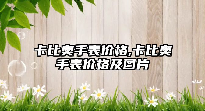 卡比奧手表價格,卡比奧手表價格及圖片