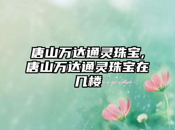 唐山萬達通靈珠寶,唐山萬達通靈珠寶在幾樓