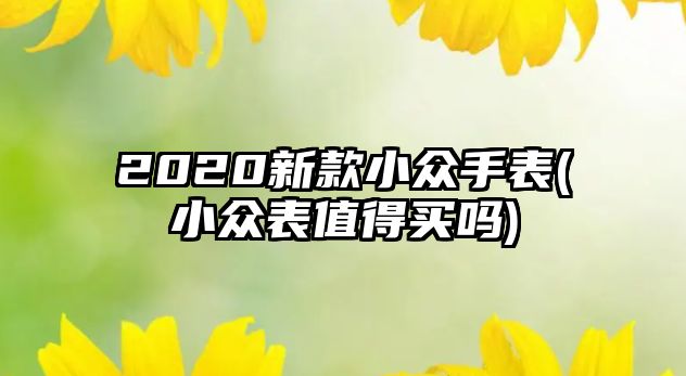 2020新款小眾手表(小眾表值得買嗎)