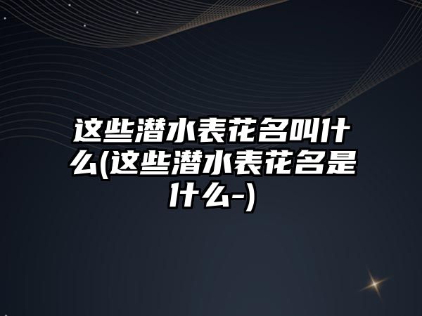 這些潛水表花名叫什么(這些潛水表花名是什么-)