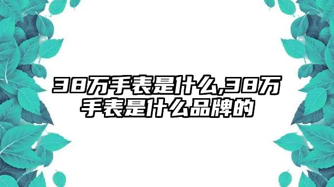 38萬手表是什么,38萬手表是什么品牌的