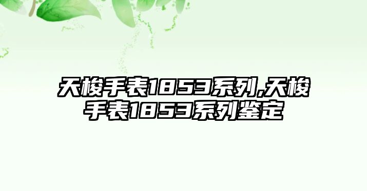 天梭手表1853系列,天梭手表1853系列鑒定