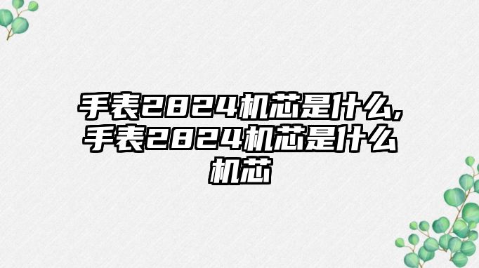 手表2824機(jī)芯是什么,手表2824機(jī)芯是什么機(jī)芯