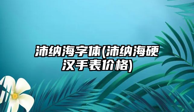 沛納海字體(沛納海硬漢手表價格)