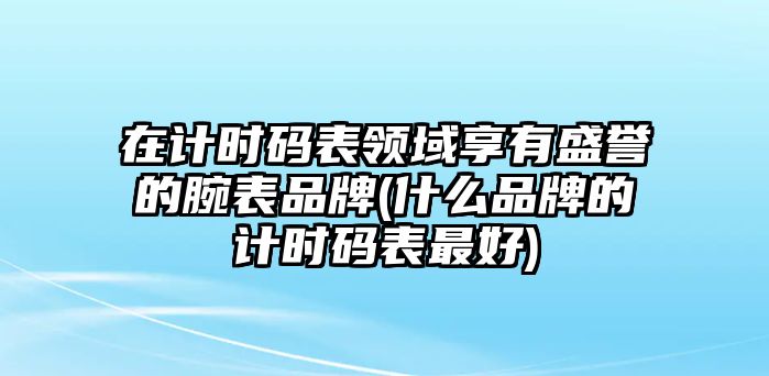 在計時碼表領域享有盛譽的腕表品牌(什么品牌的計時碼表最好)