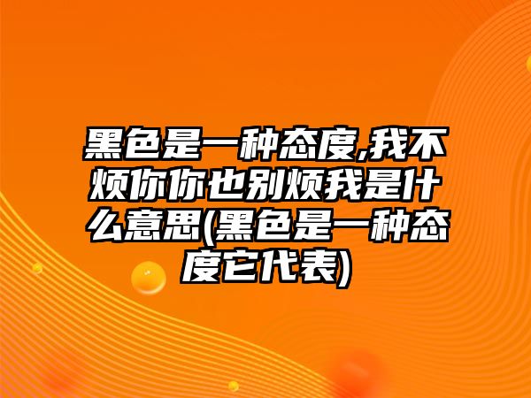 黑色是一種態度,我不煩你你也別煩我是什么意思(黑色是一種態度它代表)