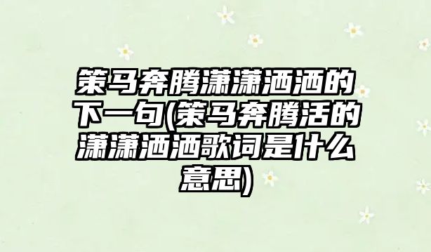 策馬奔騰瀟瀟灑灑的下一句(策馬奔騰活的瀟瀟灑灑歌詞是什么意思)