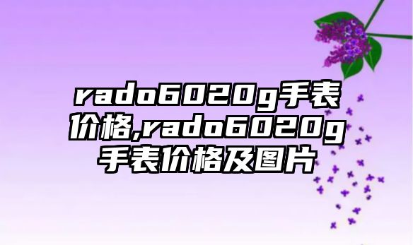 rado6020g手表價格,rado6020g手表價格及圖片