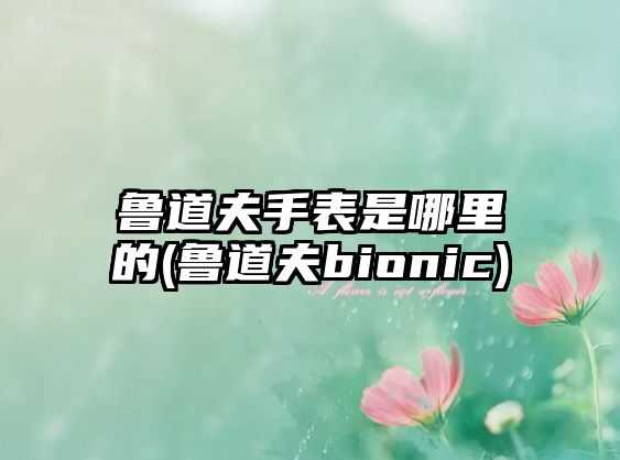 魯道夫手表是哪里的(魯道夫bionic)