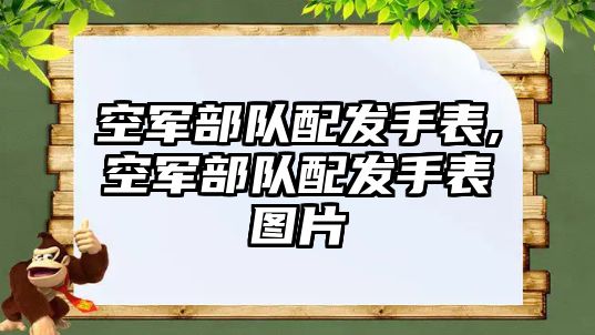 空軍部隊配發手表,空軍部隊配發手表圖片