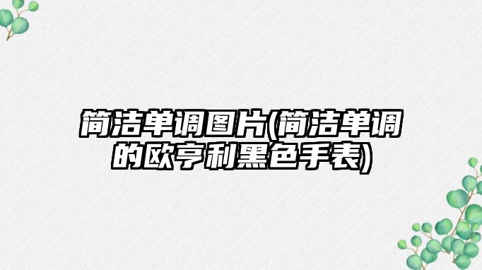 簡潔單調圖片(簡潔單調的歐亨利黑色手表)