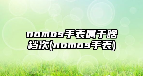 nomos手表屬于啥檔次(nomos手表)