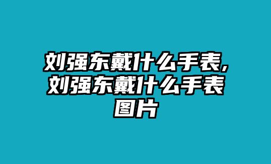 劉強東戴什么手表,劉強東戴什么手表圖片