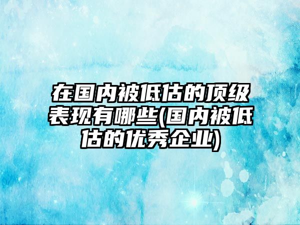 在國內(nèi)被低估的頂級(jí)表現(xiàn)有哪些(國內(nèi)被低估的優(yōu)秀企業(yè))