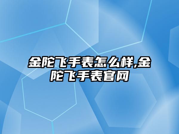 金陀飛手表怎么樣,金陀飛手表官網