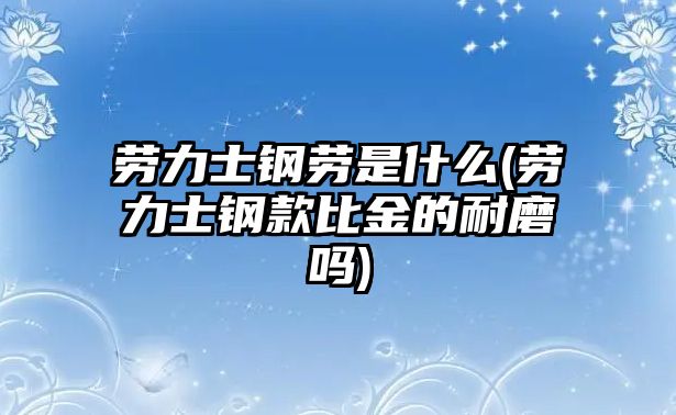 勞力士鋼勞是什么(勞力士鋼款比金的耐磨嗎)