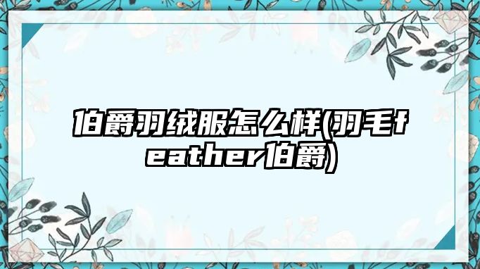 伯爵羽絨服怎么樣(羽毛feather伯爵)