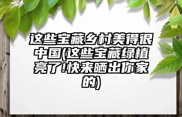 這些寶藏鄉村美得很中國(這些寶藏綠植亮了!快來曬出你家的)