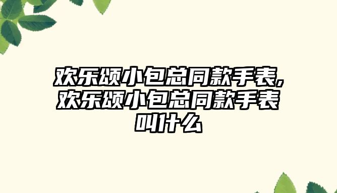 歡樂頌小包總同款手表,歡樂頌小包總同款手表叫什么