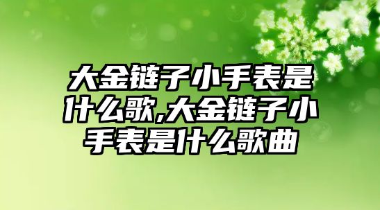 大金鏈子小手表是什么歌,大金鏈子小手表是什么歌曲