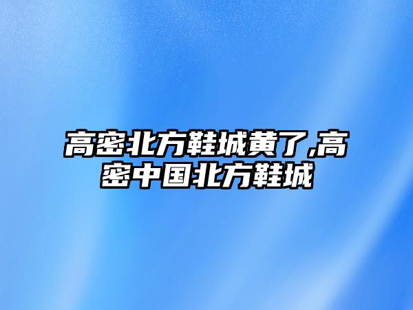 高密北方鞋城黃了,高密中國北方鞋城