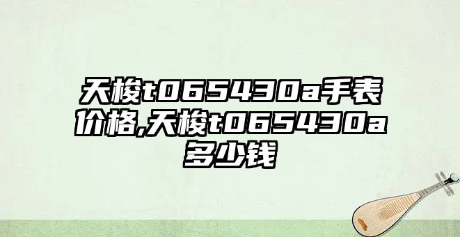 天梭t065430a手表價格,天梭t065430a多少錢