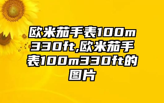 歐米茄手表100m330ft,歐米茄手表100m330ft的圖片