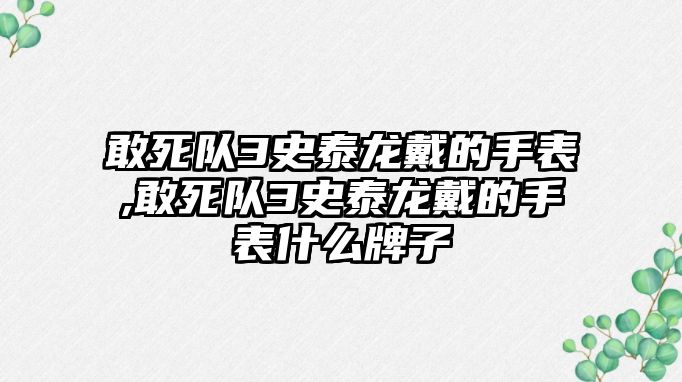 敢死隊3史泰龍戴的手表,敢死隊3史泰龍戴的手表什么牌子